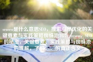 seoseo是什么意思SEO，搜索引擎优化的关键要素与实践策略蜘蛛池TG：zzcseo，SEO的秘密，关键要素、实践策略与蜘蛛池的理解，了解seoseo的真正含义