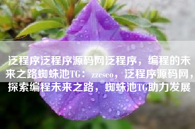 泛程序泛程序源码网泛程序，编程的未来之路蜘蛛池TG：zzcseo，泛程序源码网，探索编程未来之路，蜘蛛池TG助力发展