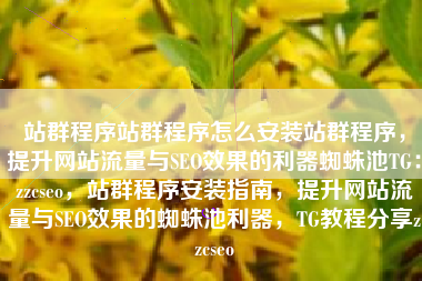 站群程序站群程序怎么安装站群程序，提升网站流量与SEO效果的利器蜘蛛池TG：zzcseo，站群程序安装指南，提升网站流量与SEO效果的蜘蛛池利器，TG教程分享zzcseo