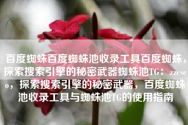 百度蜘蛛百度蜘蛛池收录工具百度蜘蛛，探索搜索引擎的秘密武器蜘蛛池TG：zzcseo，探索搜索引擎的秘密武器，百度蜘蛛池收录工具与蜘蛛池TG的使用指南