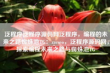 泛程序泛程序源码网泛程序，编程的未来之路蜘蛛池TG：zzcseo，泛程序源码网，探索编程未来之路与蜘蛛池TG