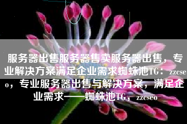 服务器出售服务器售卖服务器出售，专业解决方案满足企业需求蜘蛛池TG：zzcseo，专业服务器出售与解决方案，满足企业需求——蜘蛛池TG，zzcseo