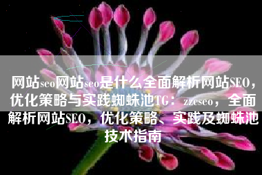 网站seo网站seo是什么全面解析网站SEO，优化策略与实践蜘蛛池TG：zzcseo，全面解析网站SEO，优化策略、实践及蜘蛛池技术指南