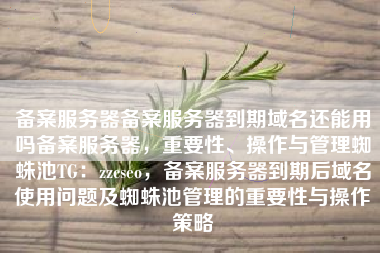 备案服务器备案服务器到期域名还能用吗备案服务器，重要性、操作与管理蜘蛛池TG：zzcseo，备案服务器到期后域名使用问题及蜘蛛池管理的重要性与操作策略
