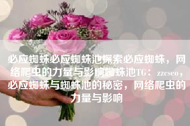 必应蜘蛛必应蜘蛛池探索必应蜘蛛，网络爬虫的力量与影响蜘蛛池TG：zzcseo，必应蜘蛛与蜘蛛池的秘密，网络爬虫的力量与影响