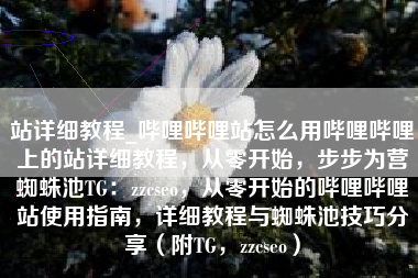 站详细教程_哔哩哔哩站怎么用哔哩哔哩上的站详细教程，从零开始，步步为营蜘蛛池TG：zzcseo，从零开始的哔哩哔哩站使用指南，详细教程与蜘蛛池技巧分享（附TG，zzcseo）