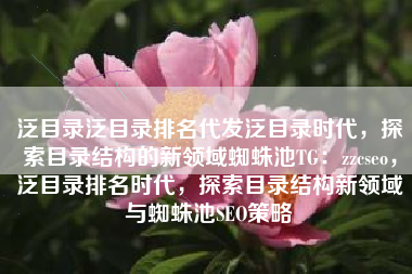 泛目录泛目录排名代发泛目录时代，探索目录结构的新领域蜘蛛池TG：zzcseo，泛目录排名时代，探索目录结构新领域与蜘蛛池SEO策略