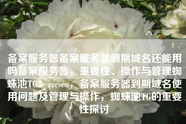 备案服务器备案服务器到期域名还能用吗备案服务器，重要性、操作与管理蜘蛛池TG：zzcseo，备案服务器到期域名使用问题及管理与操作，蜘蛛池TG的重要性探讨