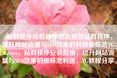 站群程序站群程序怎么安装站群程序，提升网站流量与SEO效果的利器蜘蛛池TG：zzcseo，站群程序安装指南，提升网站流量与SEO效果的蜘蛛池利器，TG教程分享。
