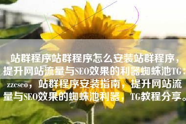 站群程序站群程序怎么安装站群程序，提升网站流量与SEO效果的利器蜘蛛池TG：zzcseo，站群程序安装指南，提升网站流量与SEO效果的蜘蛛池利器，TG教程分享。