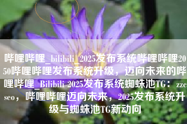 哔哩哔哩_bilibili_2025发布系统哔哩哔哩2050哔哩哔哩发布系统升级，迈向未来的哔哩哔哩_Bilibili 2025发布系统蜘蛛池TG：zzcseo，哔哩哔哩迈向未来，2025发布系统升级与蜘蛛池TG新动向