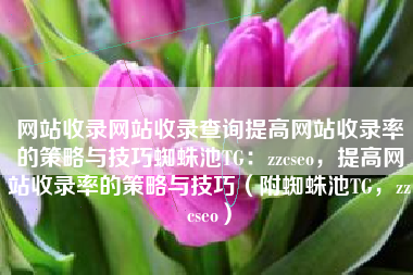 网站收录网站收录查询提高网站收录率的策略与技巧蜘蛛池TG：zzcseo，提高网站收录率的策略与技巧（附蜘蛛池TG，zzcseo）