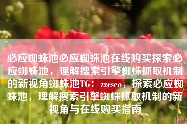 必应蜘蛛池必应蜘蛛池在线购买探索必应蜘蛛池，理解搜索引擎蜘蛛抓取机制的新视角蜘蛛池TG：zzcseo，探索必应蜘蛛池，理解搜索引擎蜘蛛抓取机制的新视角与在线购买指南