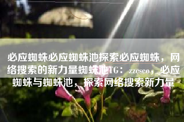 必应蜘蛛必应蜘蛛池探索必应蜘蛛，网络搜索的新力量蜘蛛池TG：zzcseo，必应蜘蛛与蜘蛛池，探索网络搜索新力量