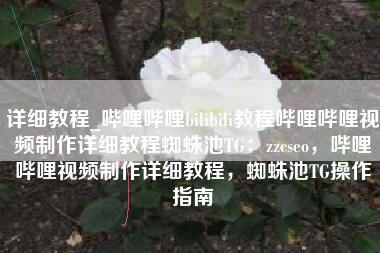 详细教程_哔哩哔哩bilibili教程哔哩哔哩视频制作详细教程蜘蛛池TG：zzcseo，哔哩哔哩视频制作详细教程，蜘蛛池TG操作指南