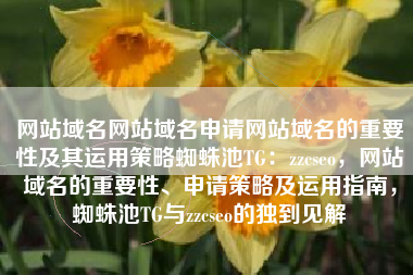 网站域名网站域名申请网站域名的重要性及其运用策略蜘蛛池TG：zzcseo，网站域名的重要性、申请策略及运用指南，蜘蛛池TG与zzcseo的独到见解