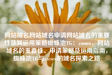 网站域名网站域名申请网站域名的重要性及其运用策略蜘蛛池TG：zzcseo，网站域名的重要性、申请策略及运用指南，蜘蛛池TG与zzcseo的域名探索之路