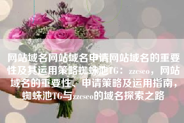 网站域名网站域名申请网站域名的重要性及其运用策略蜘蛛池TG：zzcseo，网站域名的重要性、申请策略及运用指南，蜘蛛池TG与zzcseo的域名探索之路