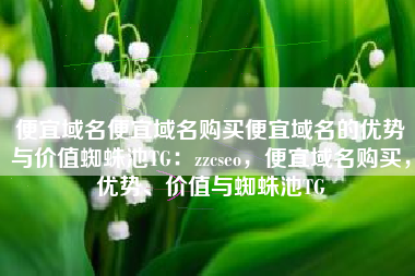 便宜域名便宜域名购买便宜域名的优势与价值蜘蛛池TG：zzcseo，便宜域名购买，优势、价值与蜘蛛池TG