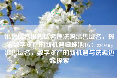 出售域名出售域名违法吗出售域名，探索数字资产的新机遇蜘蛛池TG：zzcseo，出售域名，数字资产的新机遇与法规边缘探索