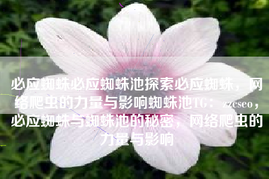 必应蜘蛛必应蜘蛛池探索必应蜘蛛，网络爬虫的力量与影响蜘蛛池TG：zzcseo，必应蜘蛛与蜘蛛池的秘密，网络爬虫的力量与影响