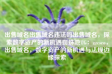 出售域名出售域名违法吗出售域名，探索数字资产的新机遇蜘蛛池TG：zzcseo，出售域名，数字资产的新机遇与法规边缘探索
