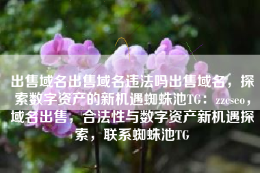 出售域名出售域名违法吗出售域名，探索数字资产的新机遇蜘蛛池TG：zzcseo，域名出售，合法性与数字资产新机遇探索，联系蜘蛛池TG