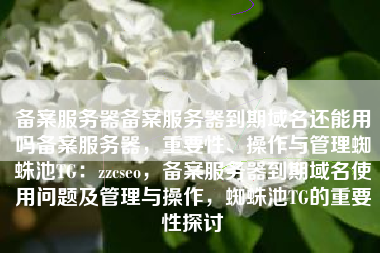 备案服务器备案服务器到期域名还能用吗备案服务器，重要性、操作与管理蜘蛛池TG：zzcseo，备案服务器到期域名使用问题及管理与操作，蜘蛛池TG的重要性探讨