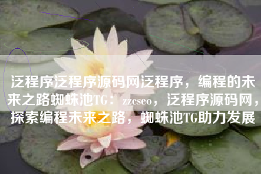 泛程序泛程序源码网泛程序，编程的未来之路蜘蛛池TG：zzcseo，泛程序源码网，探索编程未来之路，蜘蛛池TG助力发展