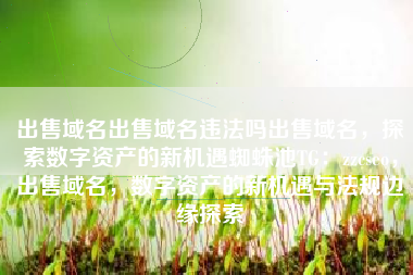 出售域名出售域名违法吗出售域名，探索数字资产的新机遇蜘蛛池TG：zzcseo，出售域名，数字资产的新机遇与法规边缘探索