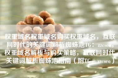 权重域名权重域名购买权重域名，互联网时代的关键词解析蜘蛛池TG：zzcseo，权重域名解析与购买策略，互联网时代关键词解析蜘蛛池指南（附TG，zzcseo）