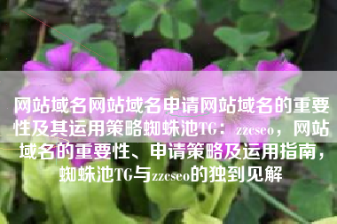 网站域名网站域名申请网站域名的重要性及其运用策略蜘蛛池TG：zzcseo，网站域名的重要性、申请策略及运用指南，蜘蛛池TG与zzcseo的独到见解