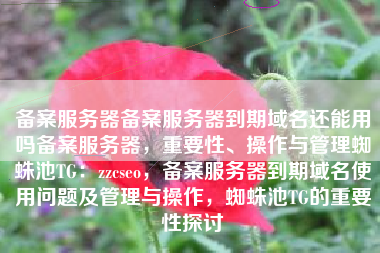 备案服务器备案服务器到期域名还能用吗备案服务器，重要性、操作与管理蜘蛛池TG：zzcseo，备案服务器到期域名使用问题及管理与操作，蜘蛛池TG的重要性探讨