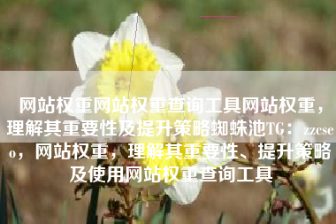 网站权重网站权重查询工具网站权重，理解其重要性及提升策略蜘蛛池TG：zzcseo，网站权重，理解其重要性、提升策略及使用网站权重查询工具
