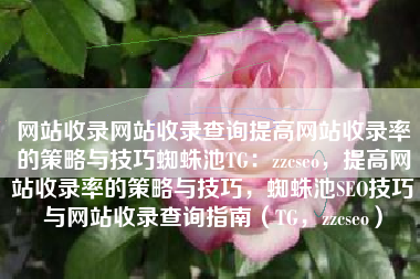 网站收录网站收录查询提高网站收录率的策略与技巧蜘蛛池TG：zzcseo，提高网站收录率的策略与技巧，蜘蛛池SEO技巧与网站收录查询指南（TG，zzcseo）