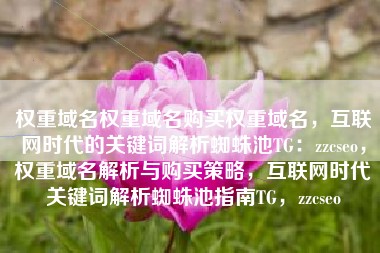 权重域名权重域名购买权重域名，互联网时代的关键词解析蜘蛛池TG：zzcseo，权重域名解析与购买策略，互联网时代关键词解析蜘蛛池指南TG，zzcseo