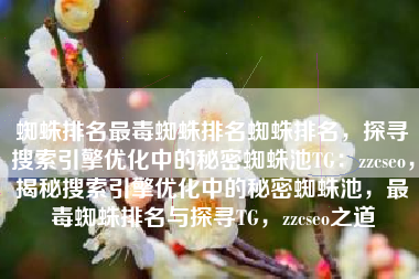 蜘蛛排名最毒蜘蛛排名蜘蛛排名，探寻搜索引擎优化中的秘密蜘蛛池TG：zzcseo，揭秘搜索引擎优化中的秘密蜘蛛池，最毒蜘蛛排名与探寻TG，zzcseo之道