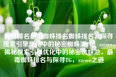 蜘蛛排名最毒蜘蛛排名蜘蛛排名，探寻搜索引擎优化中的秘密蜘蛛池TG：zzcseo，揭秘搜索引擎优化中的秘密蜘蛛池，最毒蜘蛛排名与探寻TG，zzcseo之道