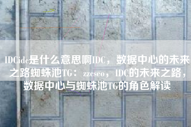 IDCidc是什么意思啊IDC，数据中心的未来之路蜘蛛池TG：zzcseo，IDC的未来之路，数据中心与蜘蛛池TG的角色解读