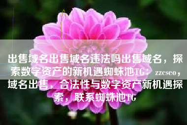 出售域名出售域名违法吗出售域名，探索数字资产的新机遇蜘蛛池TG：zzcseo，域名出售，合法性与数字资产新机遇探索，联系蜘蛛池TG