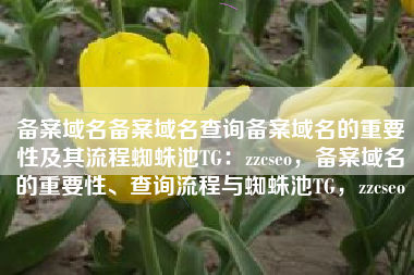 备案域名备案域名查询备案域名的重要性及其流程蜘蛛池TG：zzcseo，备案域名的重要性、查询流程与蜘蛛池TG，zzcseo