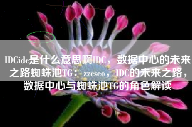 IDCidc是什么意思啊IDC，数据中心的未来之路蜘蛛池TG：zzcseo，IDC的未来之路，数据中心与蜘蛛池TG的角色解读
