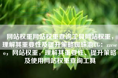 网站权重网站权重查询工具网站权重，理解其重要性及提升策略蜘蛛池TG：zzcseo，网站权重，理解其重要性、提升策略及使用网站权重查询工具