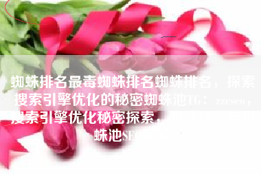 蜘蛛排名最毒蜘蛛排名蜘蛛排名，探索搜索引擎优化的秘密蜘蛛池TG：zzcseo，搜索引擎优化秘密探索，蜘蛛排名与蜘蛛池SEO策略