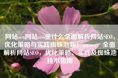 网站seo网站seo是什么全面解析网站SEO，优化策略与实践蜘蛛池TG：zzcseo，全面解析网站SEO，优化策略、实践及蜘蛛池技术指南