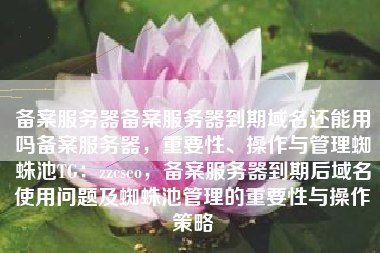 备案服务器备案服务器到期域名还能用吗备案服务器，重要性、操作与管理蜘蛛池TG：zzcseo，备案服务器到期后域名使用问题及蜘蛛池管理的重要性与操作策略