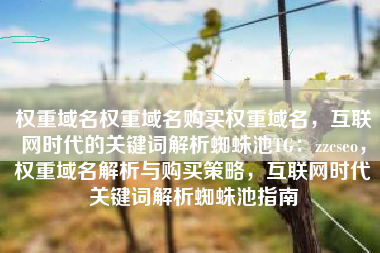 权重域名权重域名购买权重域名，互联网时代的关键词解析蜘蛛池TG：zzcseo，权重域名解析与购买策略，互联网时代关键词解析蜘蛛池指南