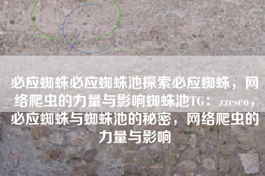 必应蜘蛛必应蜘蛛池探索必应蜘蛛，网络爬虫的力量与影响蜘蛛池TG：zzcseo，必应蜘蛛与蜘蛛池的秘密，网络爬虫的力量与影响