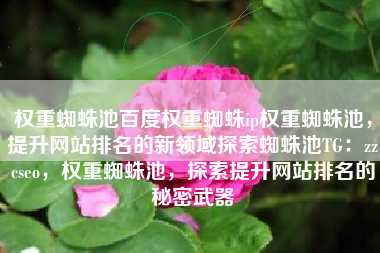 权重蜘蛛池百度权重蜘蛛ip权重蜘蛛池，提升网站排名的新领域探索蜘蛛池TG：zzcseo，权重蜘蛛池，探索提升网站排名的秘密武器
