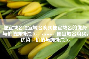 便宜域名便宜域名购买便宜域名的优势与价值蜘蛛池TG：zzcseo，便宜域名购买，优势、价值与蜘蛛池TG